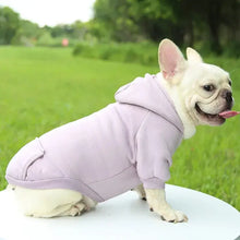 Fashion Dog Clothing Autumn And Winter Small Pet Clothes Thickening Warm Solid Color Two-Feet Hooded Wweater Casual Pet Products