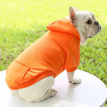 Fashion Dog Clothing Autumn And Winter Small Pet Clothes Thickening Warm Solid Color Two-Feet Hooded Wweater Casual Pet Products