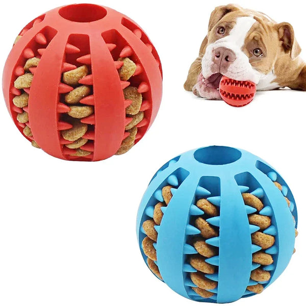 Interactive Dog Chew Ball