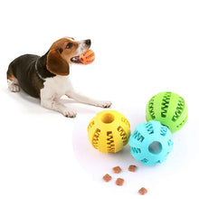 Interactive Dog Chew Ball