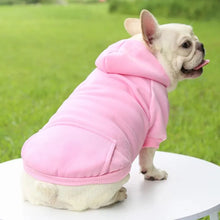 Fashion Dog Clothing Autumn And Winter Small Pet Clothes Thickening Warm Solid Color Two-Feet Hooded Wweater Casual Pet Products