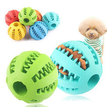 Interactive Dog Chew Ball