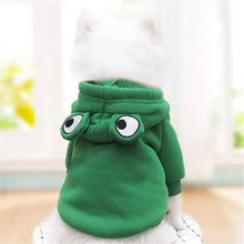 Adorable Frog Dog Hoodie