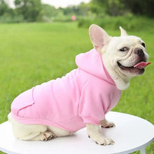 Fashion Dog Clothing Autumn And Winter Small Pet Clothes Thickening Warm Solid Color Two-Feet Hooded Wweater Casual Pet Products